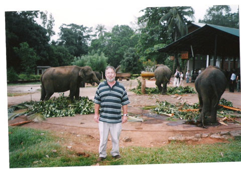 Nick Edwards with elephants